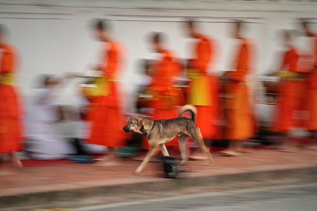 Luang Prabang_procesja mnichów