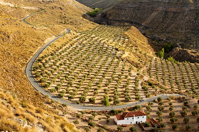 Krajobraz Andaluzji